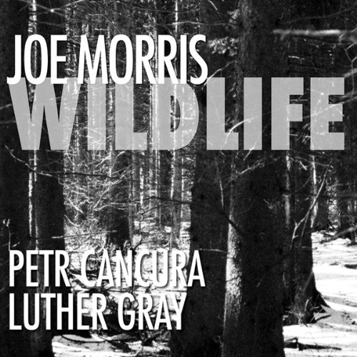 Morris,joe - Wildlife - Music CD