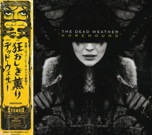the album cover for The Dead Weather - Horehound [Import]