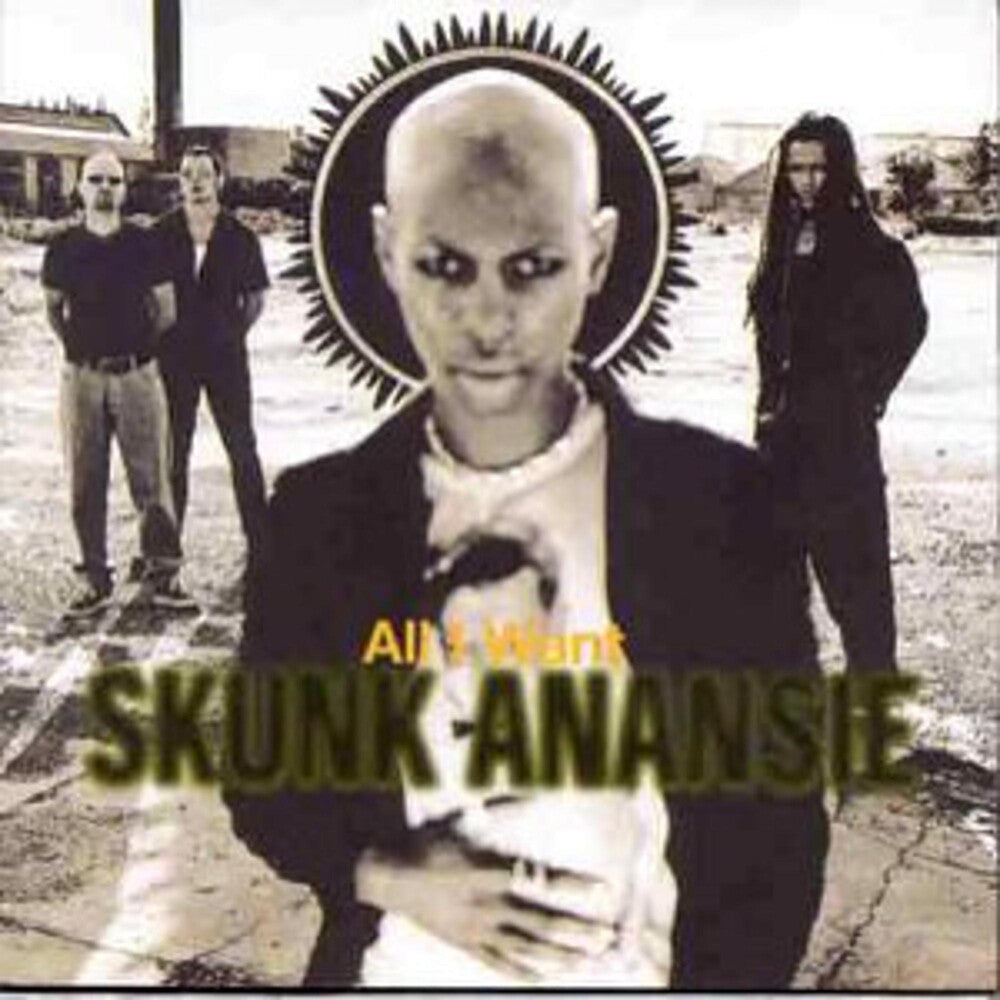 the album cover for Skunk Anansie - All I Want [Single]