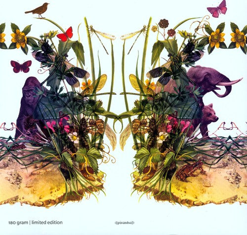 Dunkelbunt - Raindrops & Elephants - Vinyl Record