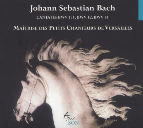 Bach,j.s. - Cantatas Bwv 12 51 131 - Music CD