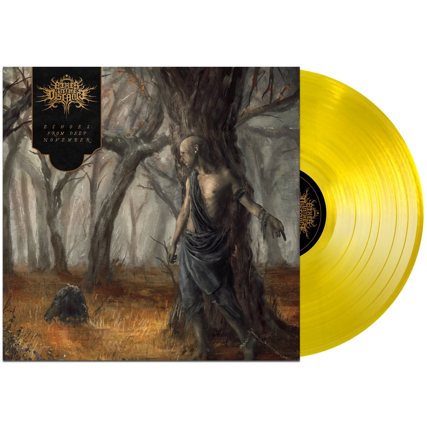 Fires in the Distance "Echoes From Deep November" 12" Vinyl Record