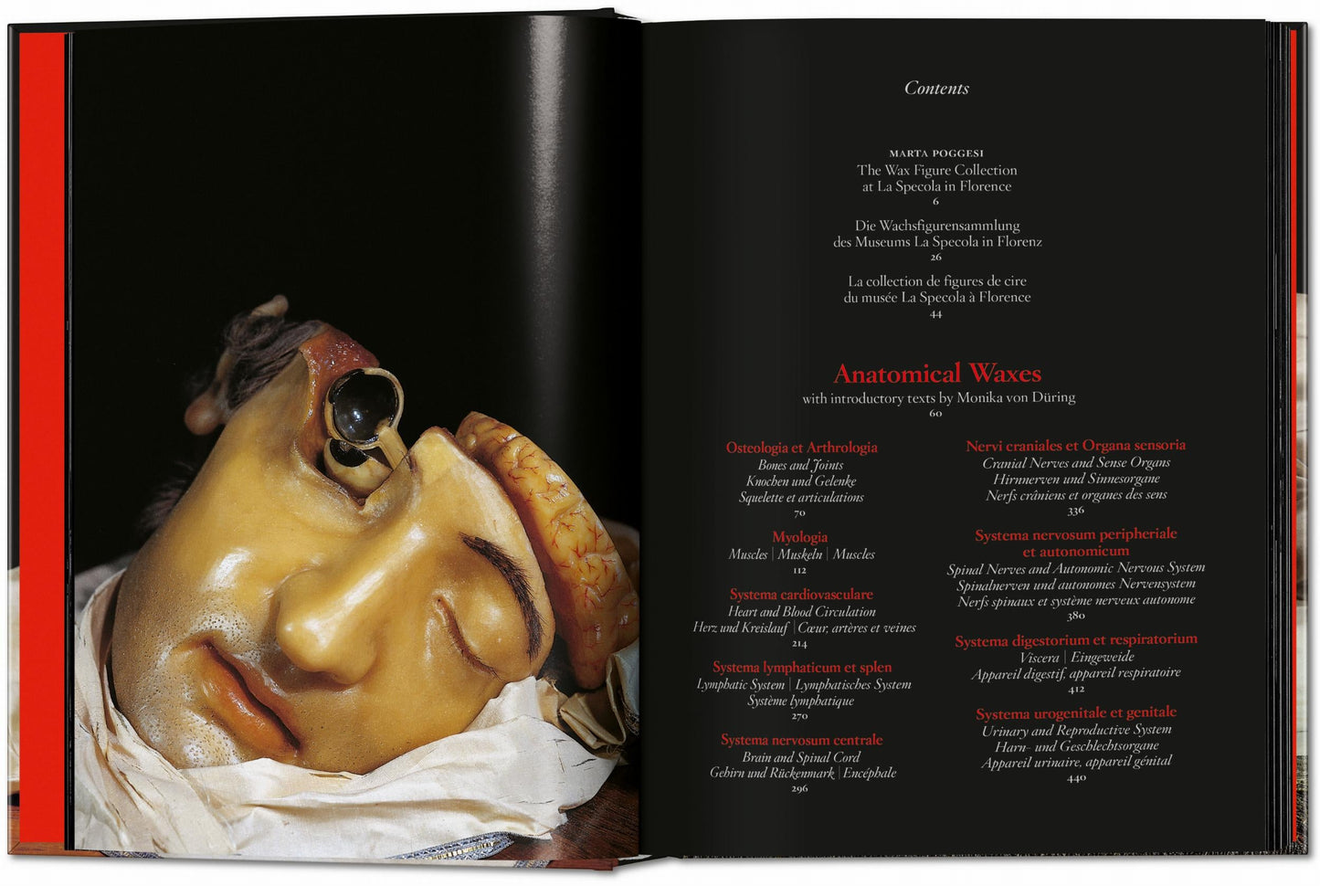 Anatomical Waxes. 45th Ed. (German, French, English) Book
