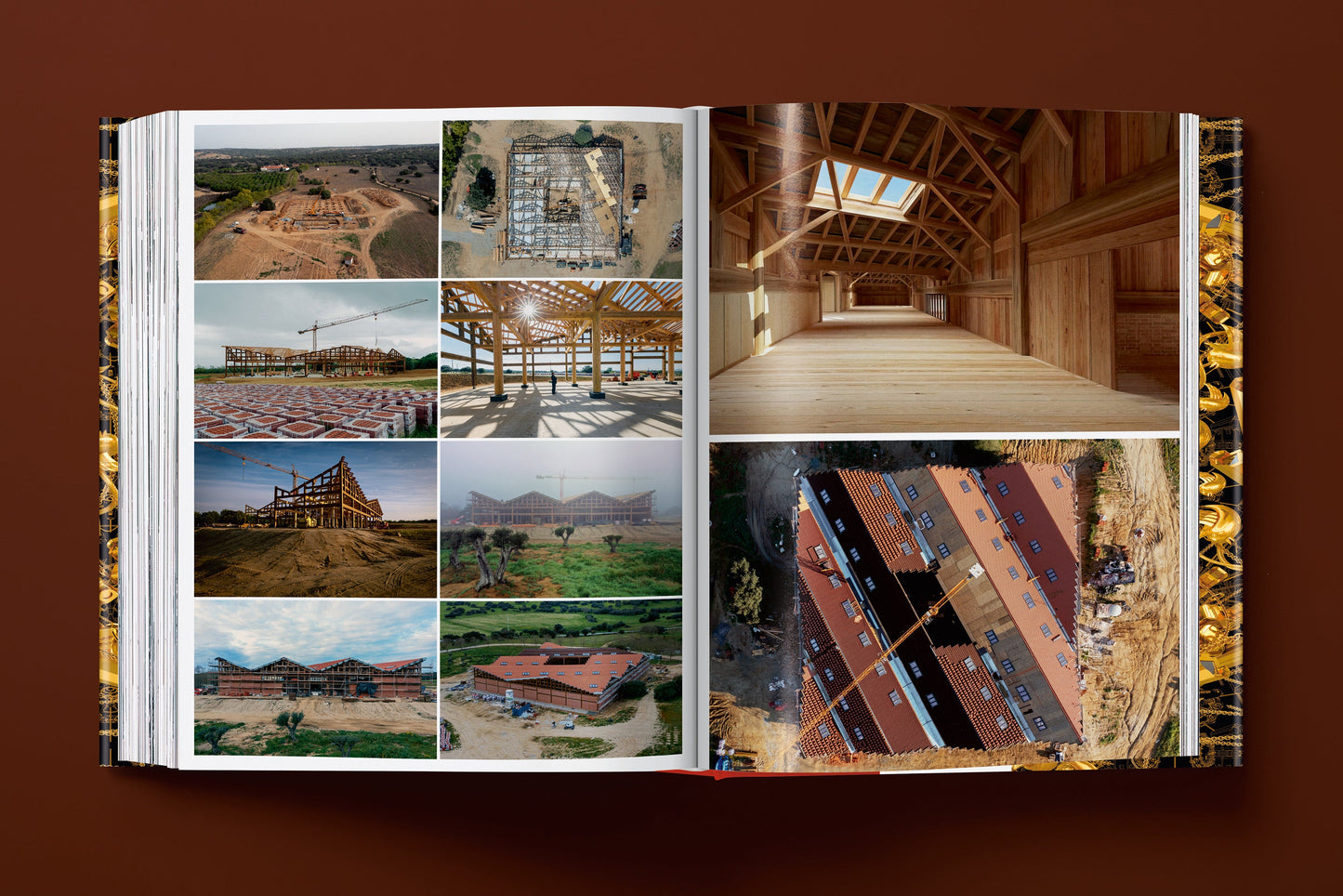 Ai Weiwei. Updated Edition (German, French, English) Book