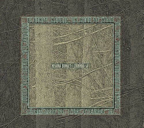 the album cover for Negura Bunget - Zirnindu-Sa