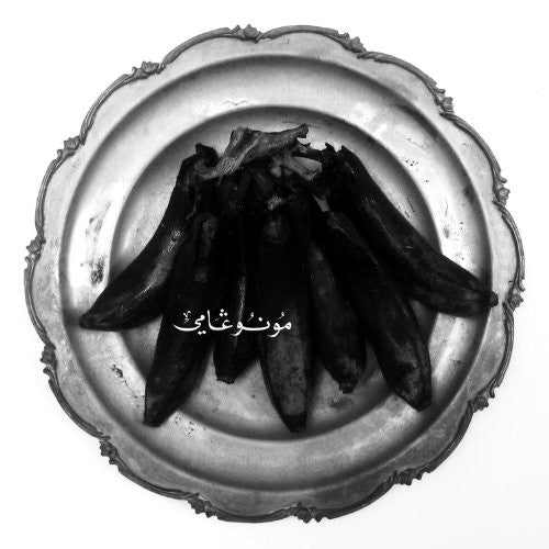 the album cover for Land Of Kushs Egyptian Light Orchestra - Monogamy