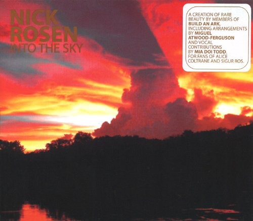 the album cover for Miguel Atwood-Ferguson - Into the Sky