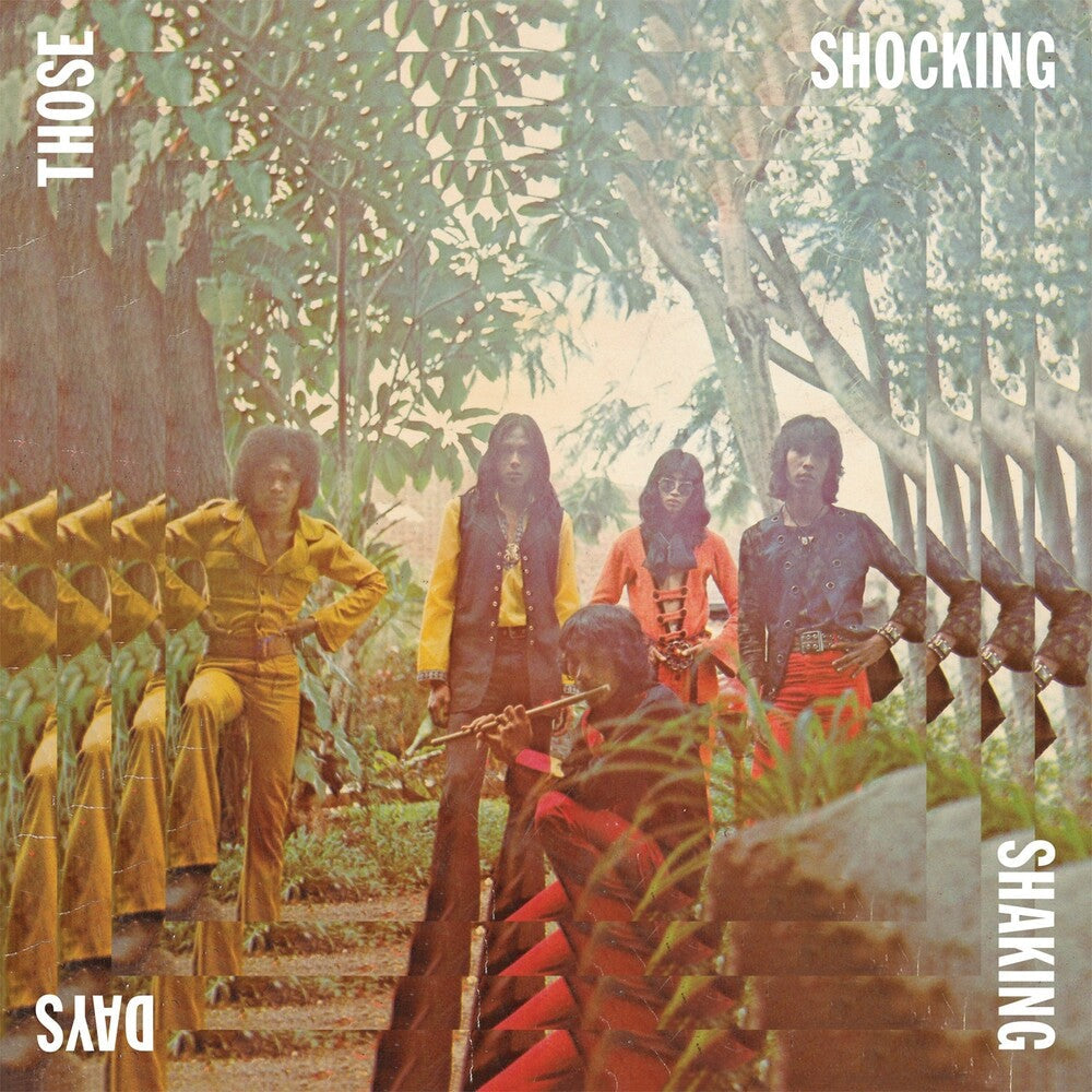 Those Shocking Shaking Days - Those Shocking Shaking Days [LP] Vinyl Record