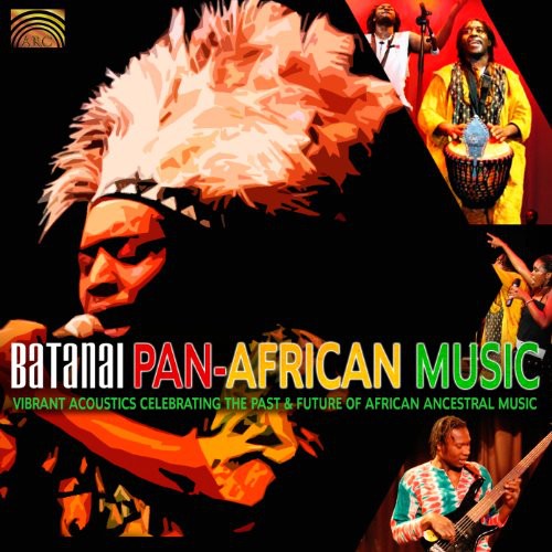 the album cover for Wedzerai Zvirevo - Pan-African Music: Vibrant Acoustics Celebrating