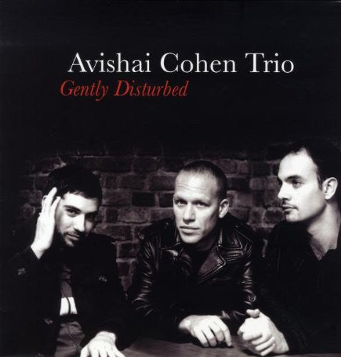 Cohen,avishai - Gently Disturbed - Vinyl Record