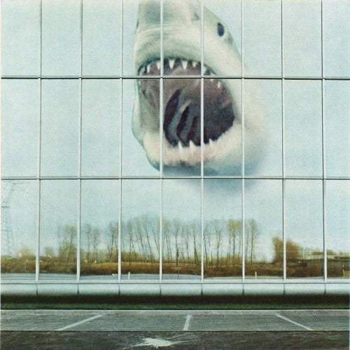 Wilderness Heart [LP] Vinyl Record