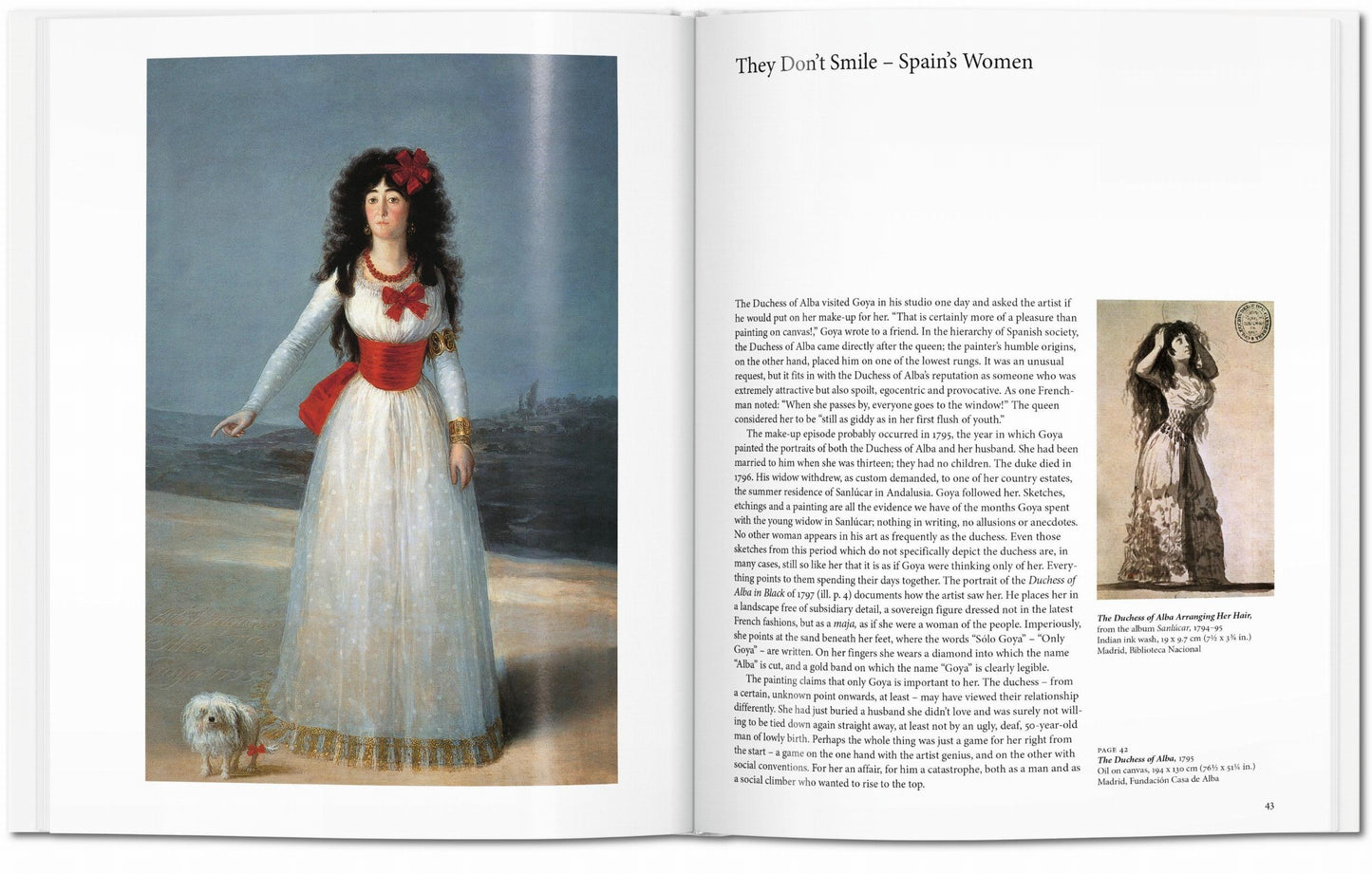 Goya (English) Book