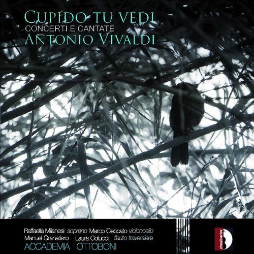 the album cover for Laura Colucci - Cupido Tu Vedi