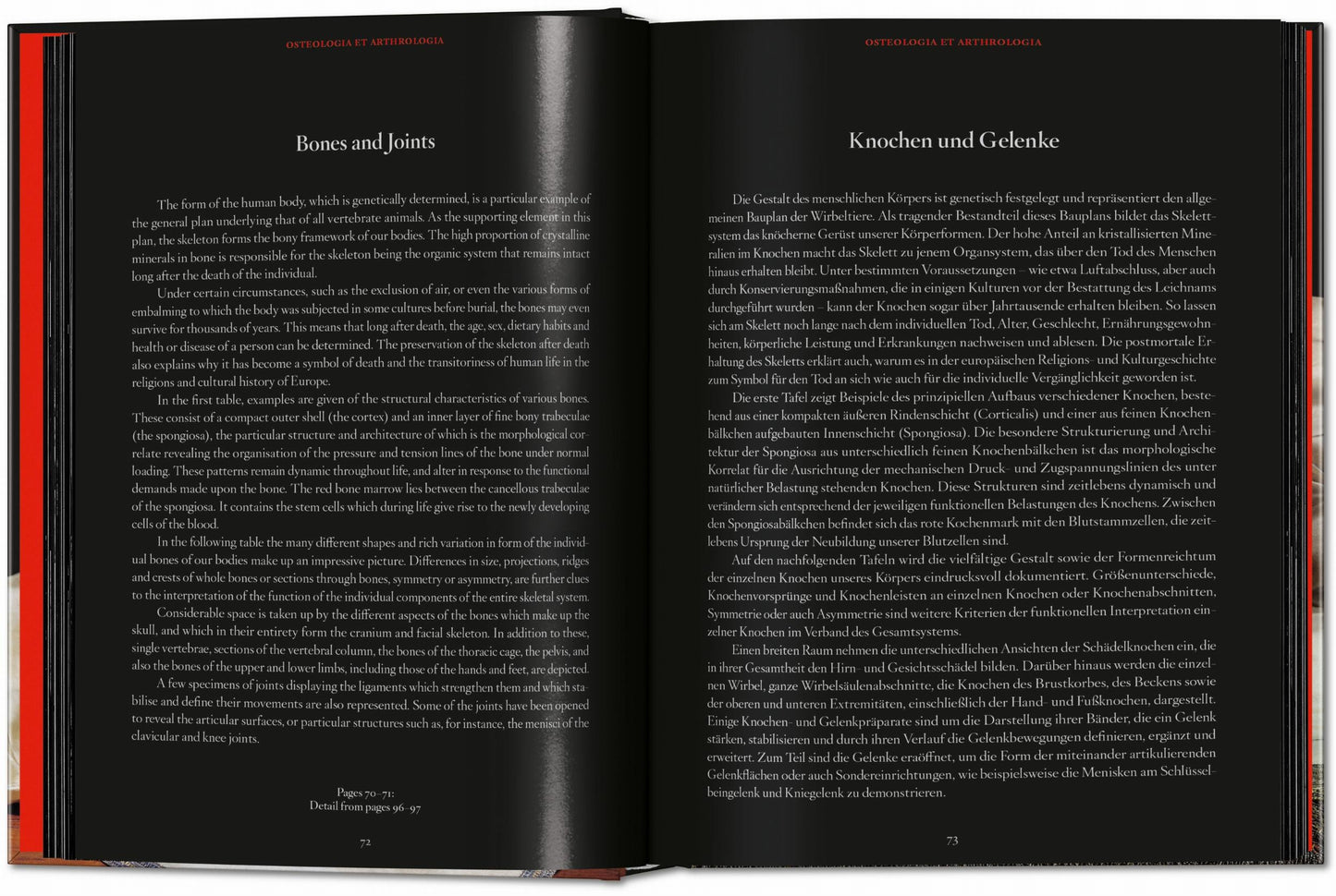 Anatomical Waxes. 45th Ed. (German, French, English) Book