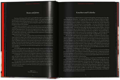 Anatomical Waxes. 45th Ed. (German, French, English) Book