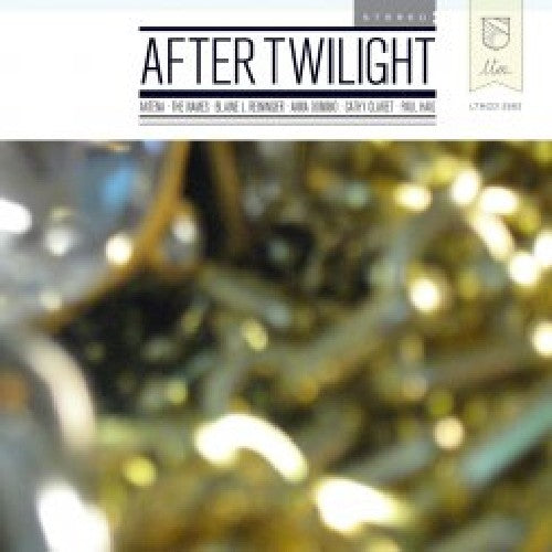 After Twilight / Various - After Twilight / Various - Music CD