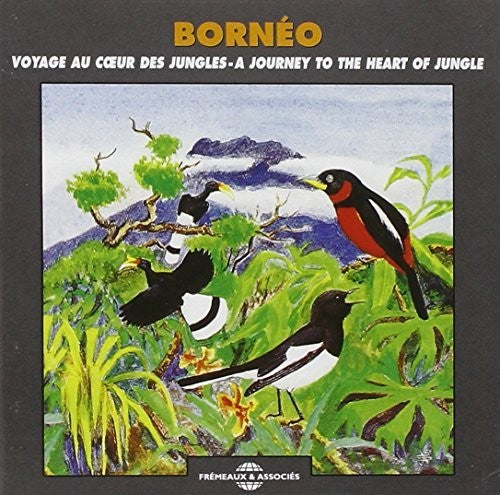 Picot / Sounds Of Nature - Borneo: Journey Heart Of Jungle - Music CD