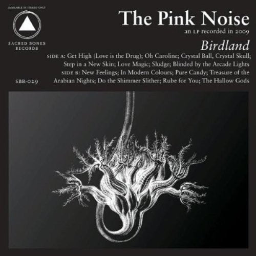Pink Noise - Birdland - Vinyl Record