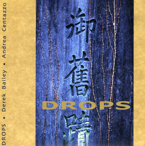 Bailey,derek / Centazzo,andrea - Drops - Music CD