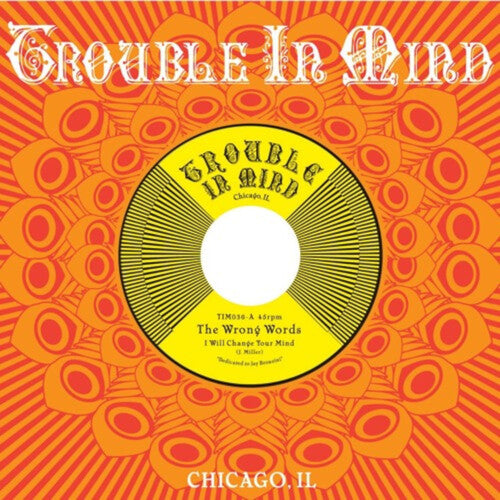 Wrong Words - I Will Change Your Mind - Vinyl Record
