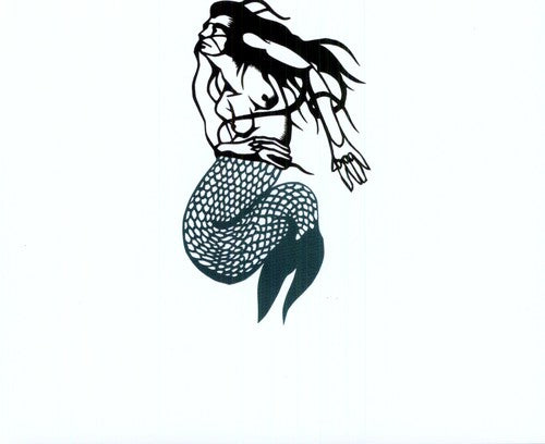 Okkervil River - Mermaid - Vinyl Record