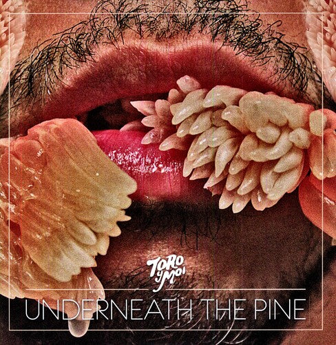 Toro y Moi - Underneath the Pine Vinyl Record