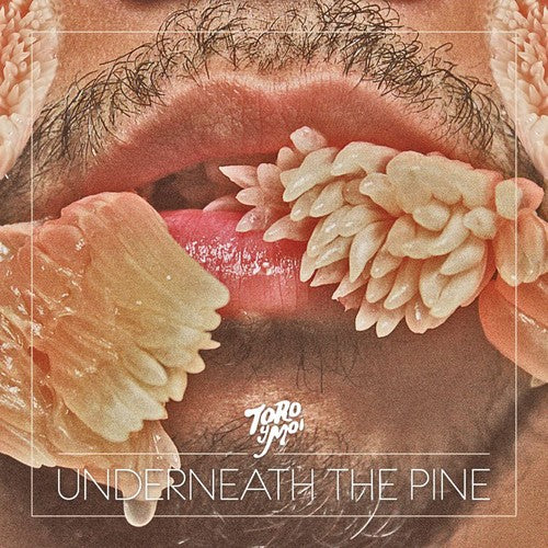 Toro Y Moi - Underneath The Pine - Music CD