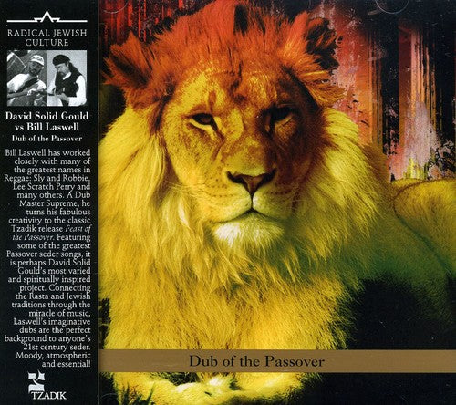 Gould,david Solid / Laswell,bill - Dub Of The Passover - Music CD