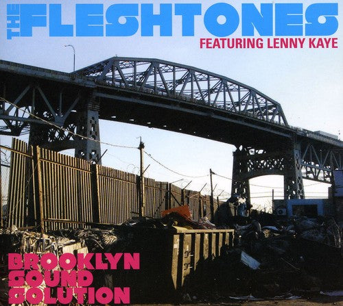 Fleshtones - Brooklyn Sound Solution - Music CD