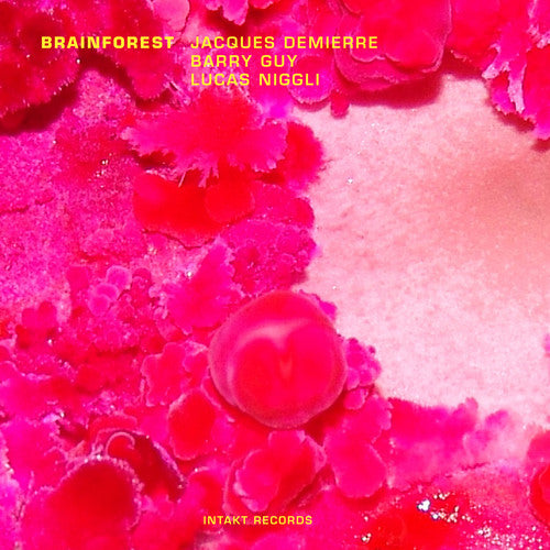 Demierre,jacques - Brainforest - Music CD