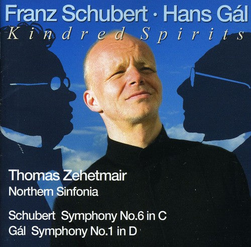the album cover for Thomas Zehetmair - Symphony 1