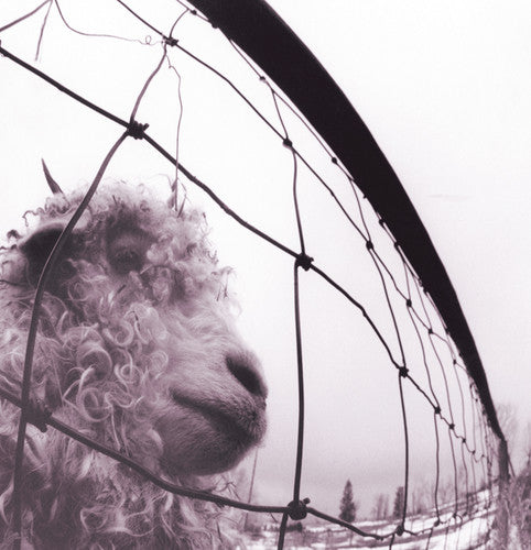 Pearl Jam - Vs Vinyl Record