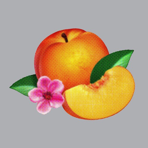 Phoenix - Bankrupt - Music CD