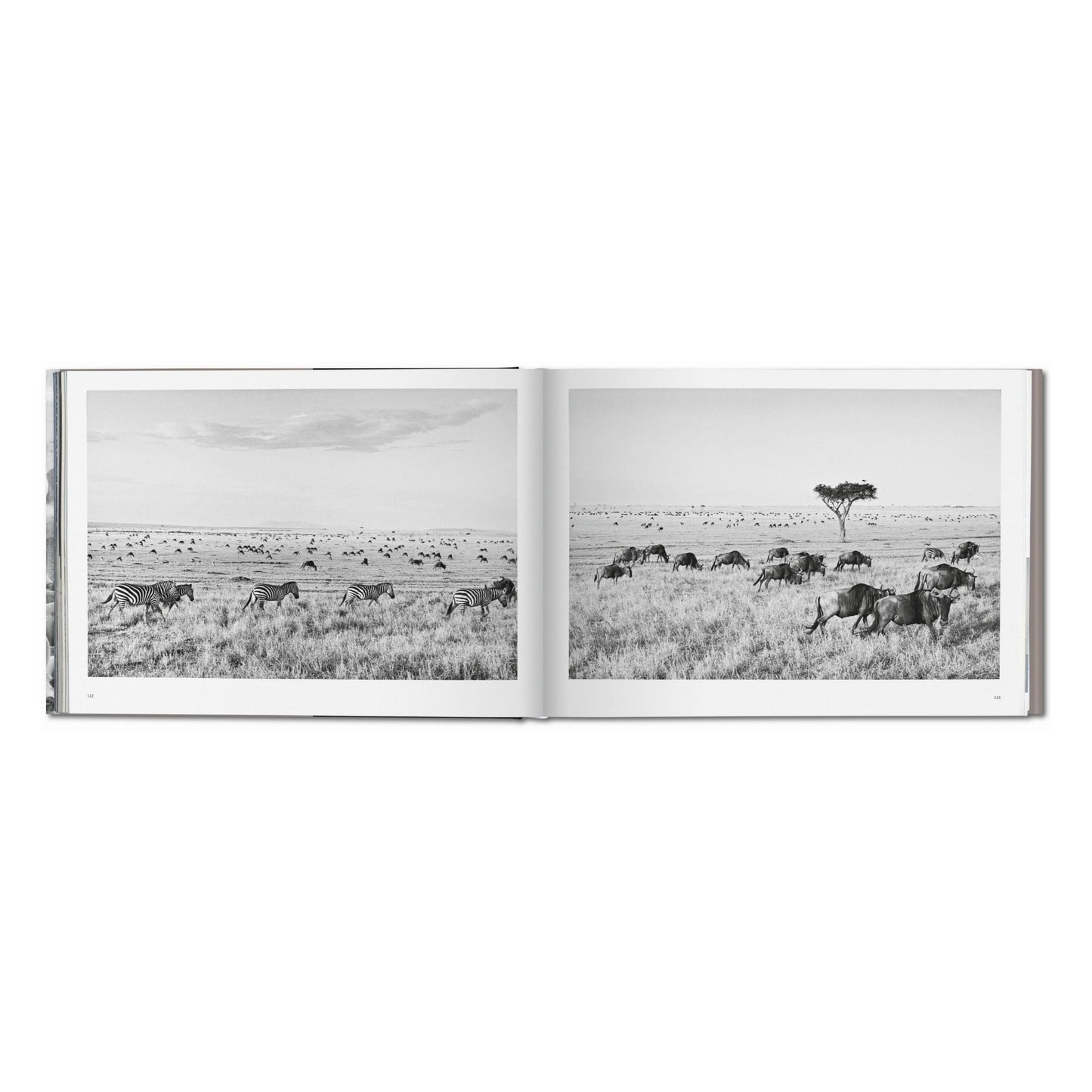Sebastião Salgado. Africa (German, French, English) Book
