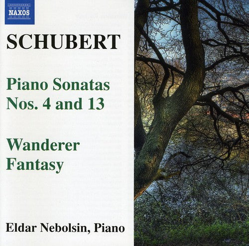 Schubert / Nebolsin,eldar - Piano Sonatas / Wanderer Fantasy - Music CD
