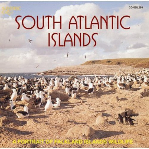 South Atlantic Islands: Portrait Falkland / Var - South Atlantic Islands: Portrait Falkland / Var - Music CD