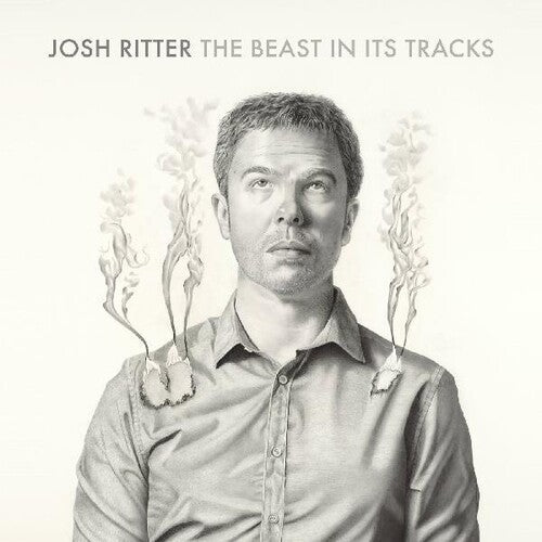Ritter,josh - Beast In Its Tracks - Music CD