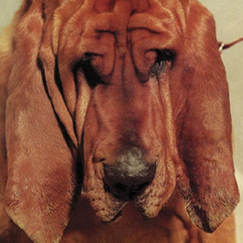 Ty Segall - Goodbye Bread Vinyl Record