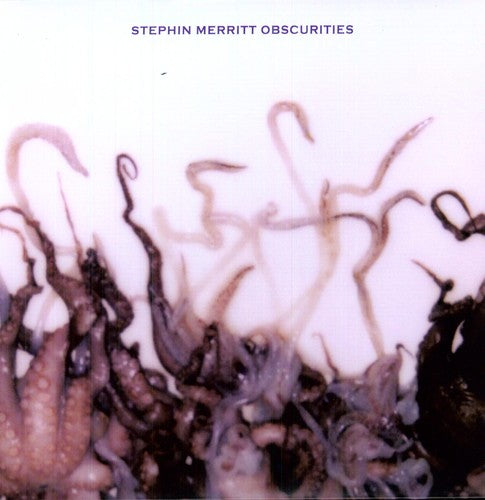 Stephin Merritt - Obscurities [LP] Vinyl Record