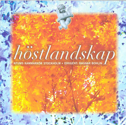 the album cover for Ragnar Bohlin - Hostlandskap