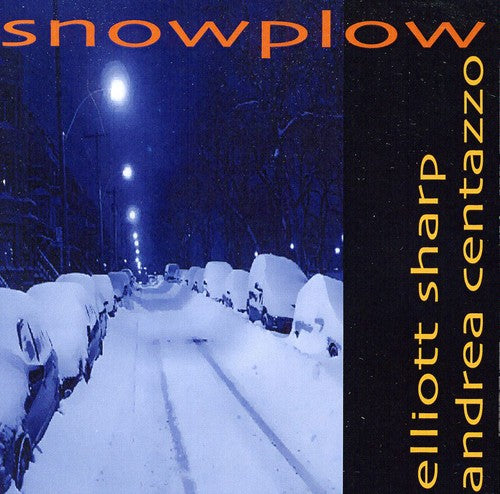 the album cover for Elliott Sharp & Andrea Centazzo - Snowplow