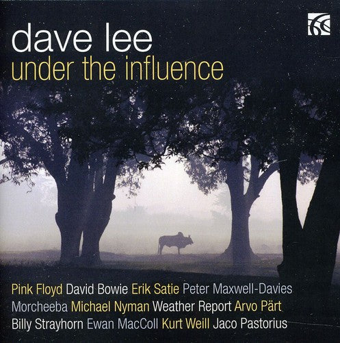 the album cover for Dave Lee - Under the Influence