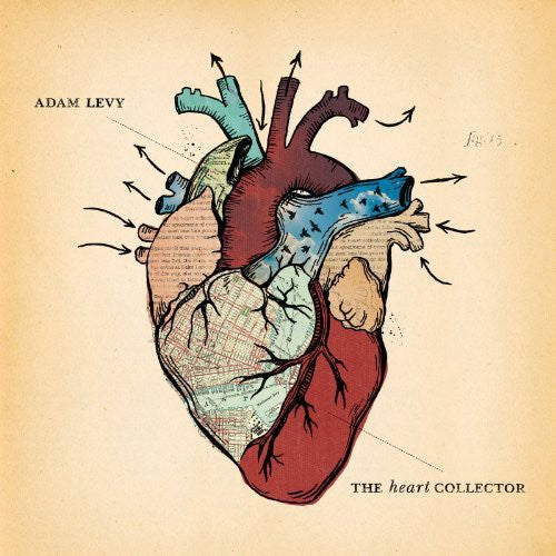 the album cover for Adam Levy - The Heart Collector