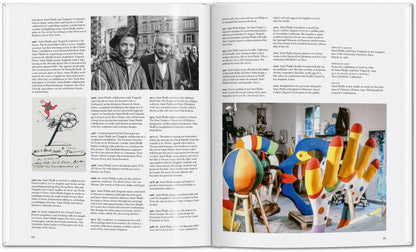 Niki de Saint Phalle (English) Book Book