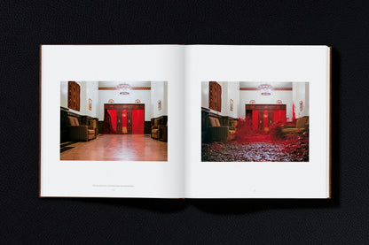 Stanley Kubrick's The Shining (English) Book
