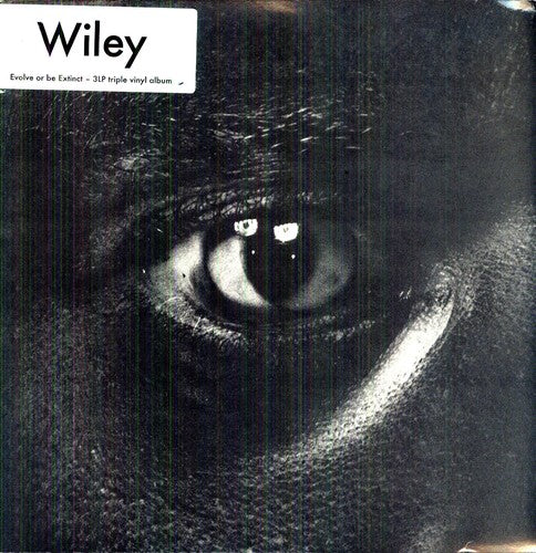 Wiley - Evolve Or Be Extinct - Vinyl Record
