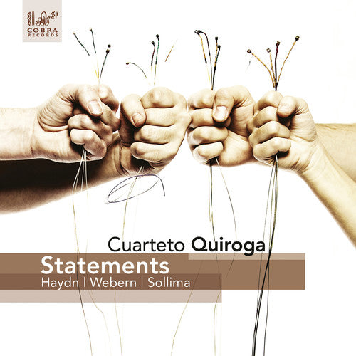 Haydn / Cuarteto Quiroga / Ludmany / Poggio - Statements - Music CD