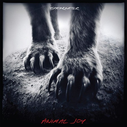 the album cover for Shearwater - Animal Joy