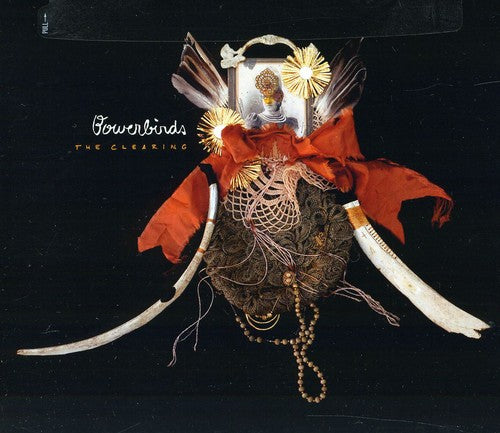 the album cover for Bowerbirds - The Clearing