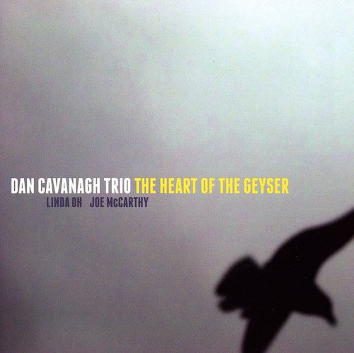 Cavanagh,dan - Heart Of The Geyser - Music CD